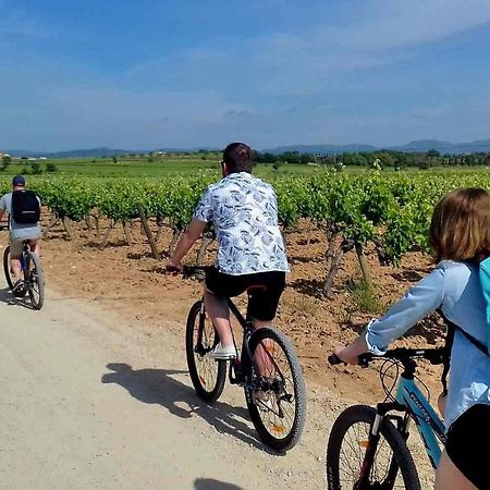 Tina De Vila, En La Capital Del Vino 빌라프랑카 델 페네데스 외부 사진
